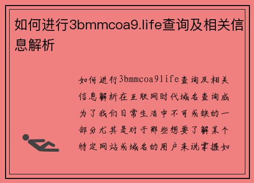 如何进行3bmmcoa9.life查询及相关信息解析